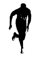 Sprinter Shadow