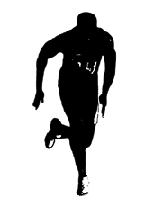 Sprinter Shadow